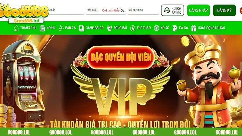 Phát triển vững mạnh sau những năm dài hoạt động